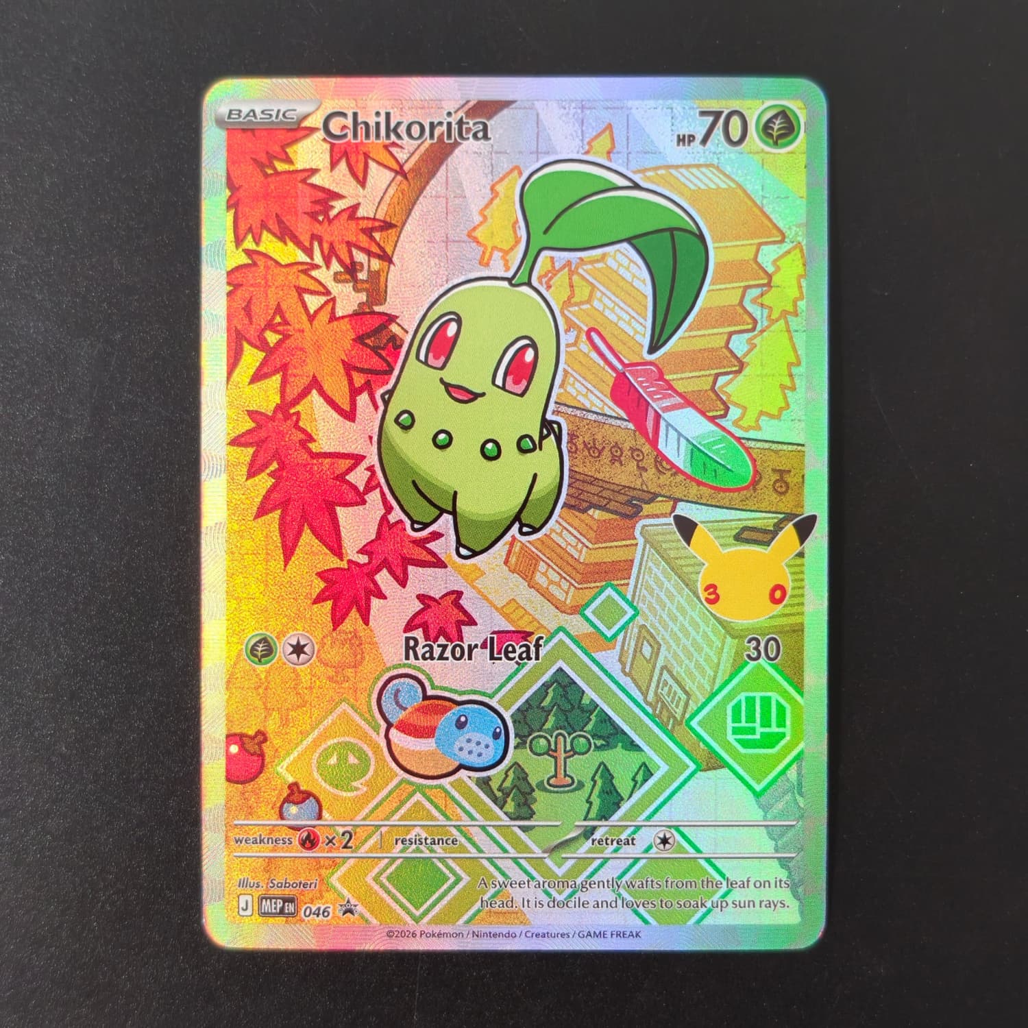 DIY Pokemon 30th Anniversary P - Board Game Anime ulasan dan harga